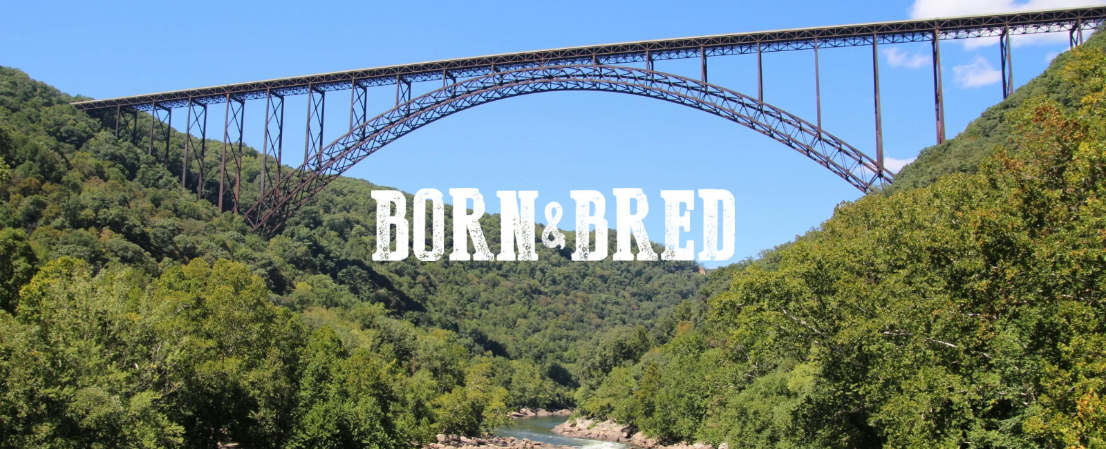 This Weekend Was Full Of Shows Across The State. We Took In Music From Maximus, Dalchord, Pants & Alabaster Boxer